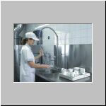 Sp�lk�chenreinigung